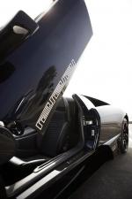 Lamborghini Murcielago LP640 Roadster Versace 2009 года
